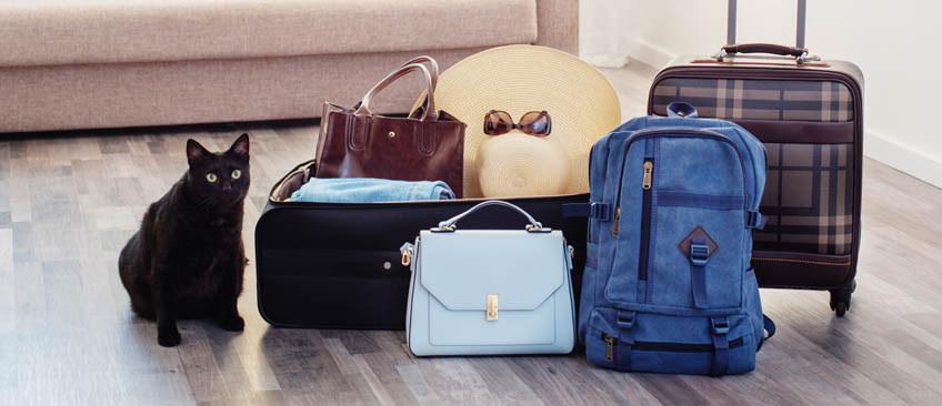 常见箱包产品物理/化学项目测试